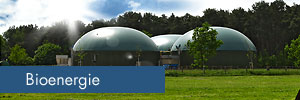 Bioenergie